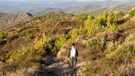 Route De La Corniche Dor Et La Forêt Des Maures