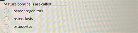 Solved Mature Bone Cells Are Chegg