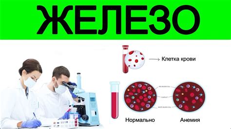 Продукты которые нужно употреблять для восполнения дефицита железа при ...
