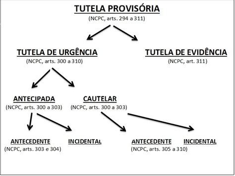 Tutela Provisoria Imagem Esquema Direito Civil I