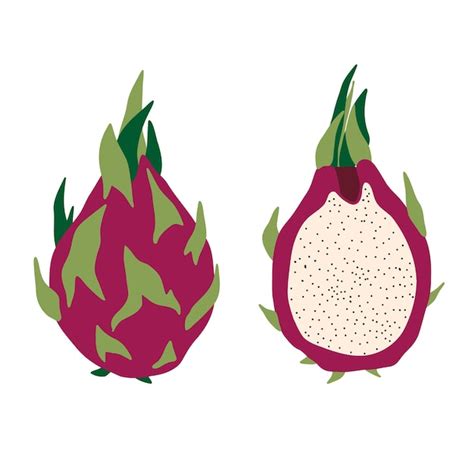 Icono De La Fruta Del Drag N Pitaya Fruta Del Drag N De Pitahaya Plana