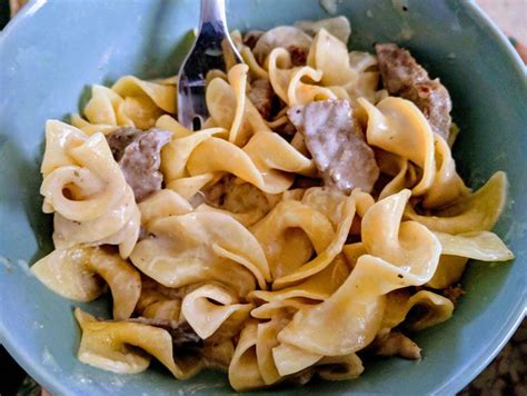 Homemade Beef Stroganoff Modified Paula Deen Recipe W Leftover Roast