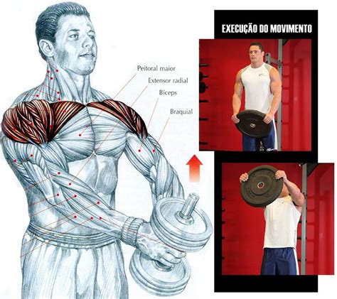 Blog Corpo Perfeito Os Melhores Exercícios Para Ombros