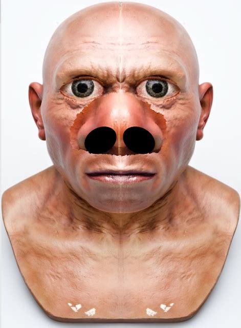 Frontiers Of Zoology New Article On Neanderthal Noses