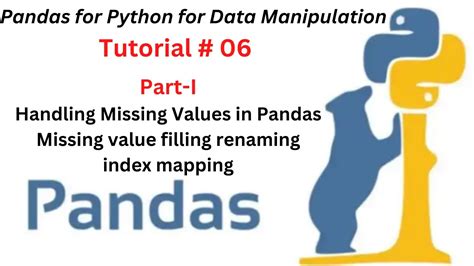 Session 06 Part 1 Handling Missing Values In Pandas Missing Value Filling Renaming Index