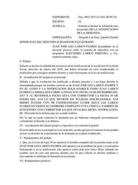 Solicita Se Declare La Nulidad De Acto Procesales De La Notificacion De La Demanda Pdf