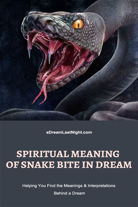 Spiritual Meaning Of Snake Bite Is It Good Or Bad For You