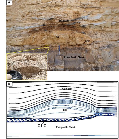 A Carbonate Concretion Type I Carb In The Qatrana Roadcut Al Hisa