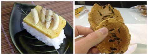 10 Comidas Extranas Del Mundo 3 Deliciastv