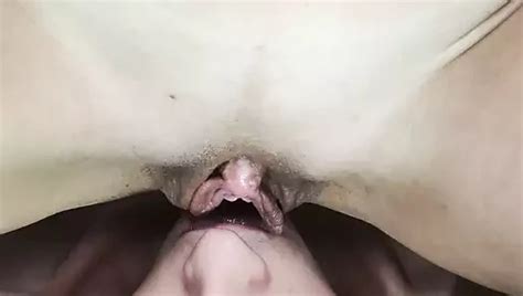 Vulva Porn Videos Xhamster