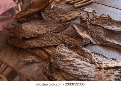 Manual Production Cigar Tobacco Leaves Farm Stock Photo 2303929335 ...