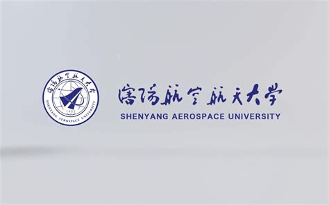 沈阳航空航天大学2019物理实验教材视频哔哩哔哩bilibili