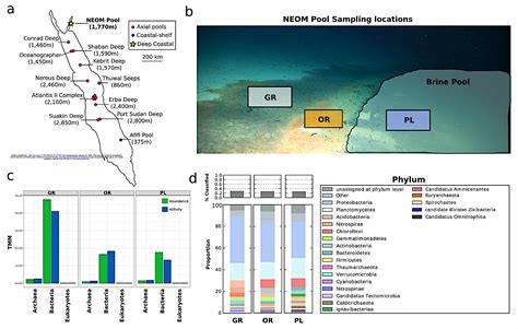 Active Prokaryotic And Eukaryotic Viral Ecology Across Spatial Scale In