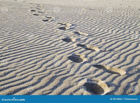 2227 Sand Steps Footprint Stock Photos Free And Royalty Free Stock