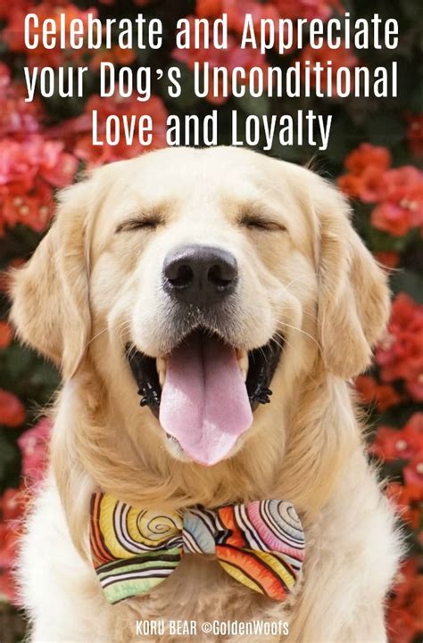 Celebrate And Appreciate Your Dogs Unconditional Love And Loyalty