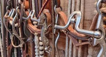 western bits thrifty horse