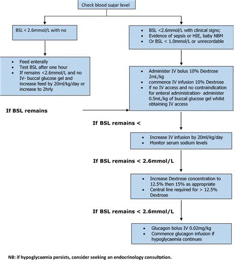 Clinical Guidelines Nursing Neonatal Hypoglycaemia