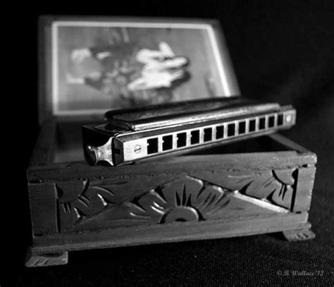 A History of the Harmonica - Spinditty