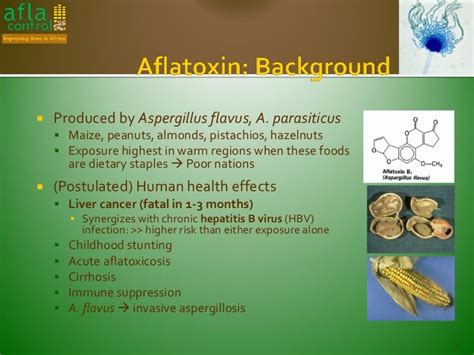 Measuring The Burden Of Aflatoxin Induced Human Disease