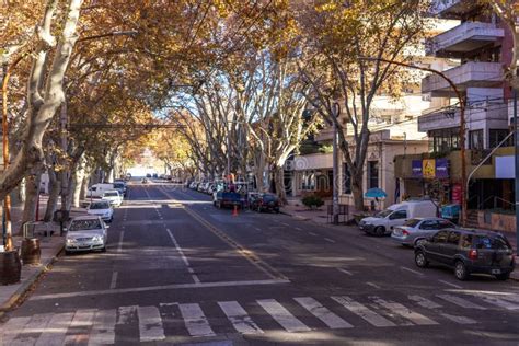 View of the Streets of the City of Mendoza. Argentina Editorial Stock ...