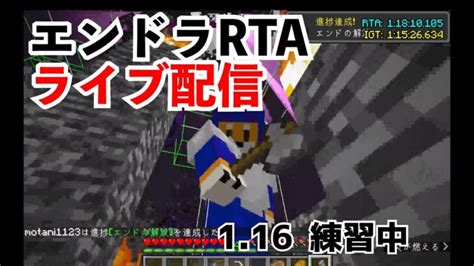 【マイクラ】マインクラフト エンドラ討伐rta Minecraft Summary マイクラ動画