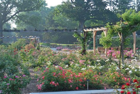 40th Annual Rose Day Being Held In Colonial Park In Franklin