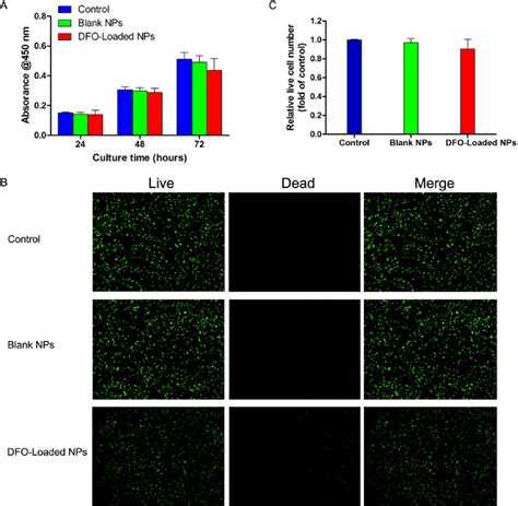 Figure From Angiogenic And Osteogenic Coupling Effects Of