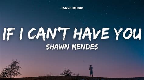 Shawn Mendes If I Cant Have You Lyrics Youtube