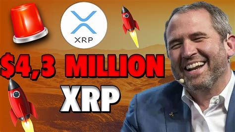 INSANE XRP NEWS CEO Ripple Sells His 4 3 MILLION XRP Xrp Price