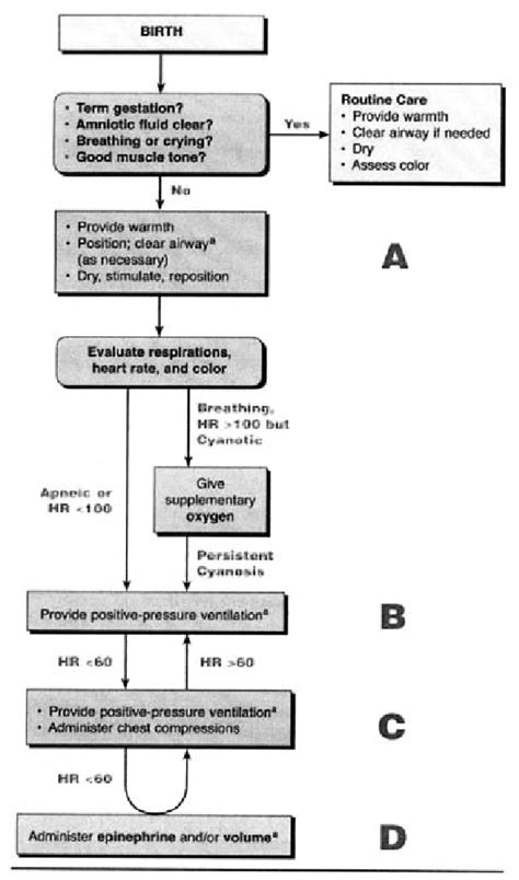 Neonatal Resuscitation Chart A Visual Reference Of Charts Chart Master