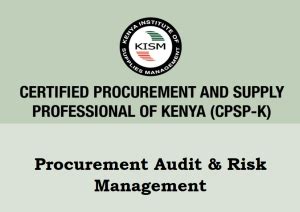 Performance Audit And Risk Management Review Ebooks Kenya