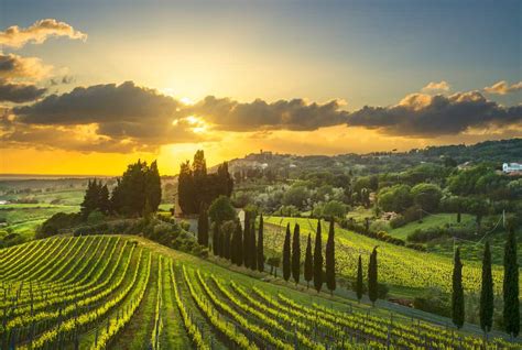 Top 8 Most Beautiful Wineries to Visit in Tuscany - GlobalGrasshopper