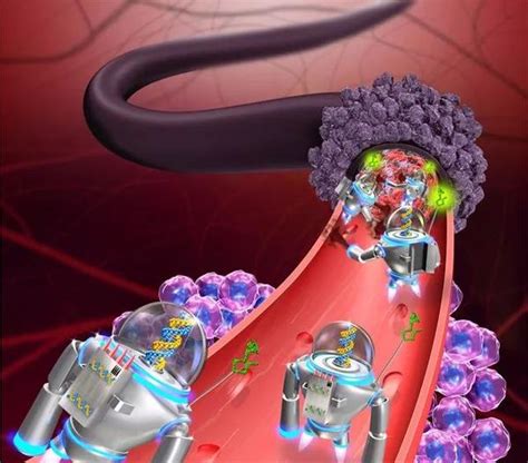 Nat Biotech丨突破，中国学者研发出dna纳米机器人能在体内精准抑癌 知乎