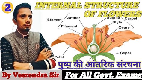 पुष्प की आंतरिक संरचना Structure Of Flowers By Veerendra Sir For