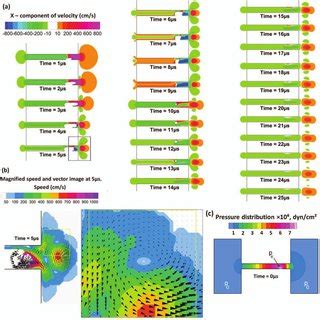 Images Of The Axial Velocity In The Xz Symmetry Plane For A Single