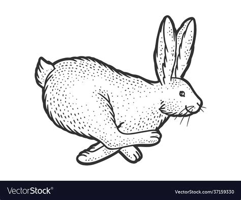 Running rabbit sketch Royalty Free Vector Image