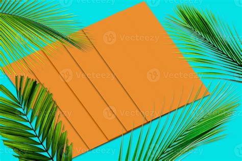 Green Palm Leaves Pattern For Nature Concept Tropical Leaf On Orange