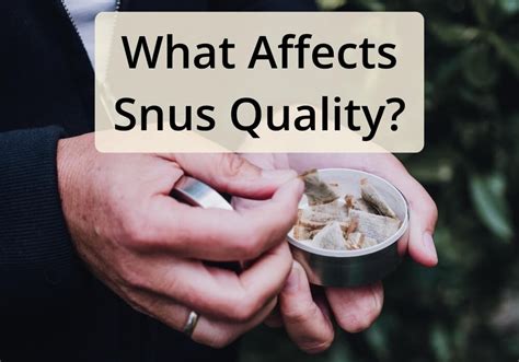 Snus tobacco and the importance of quality