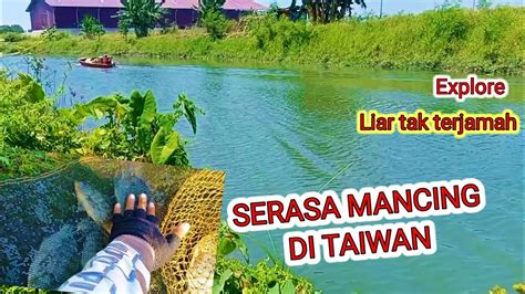 Tak Terjamah Pemancing Sarang Nila Babon Liar Serasa Mancing Di