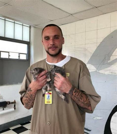 These Shelter Cats Were Sent To Prison For Therapeutic Purposes