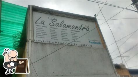 Restaurante La Salamandra V I P Morelia Jos Nicol S De Michelena