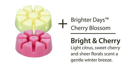 Partylite Invent Your Scent For Melts Brighter Days Cherry Blossom