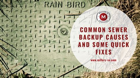 Common Sewer Backup Causes And Some Quick Fixes Millers Services