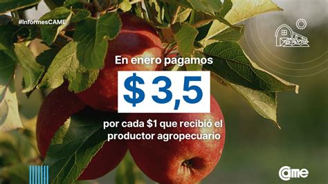 Consumidores Pagaron 3 5 Por Cada 1 Que Recibieron Los Productores