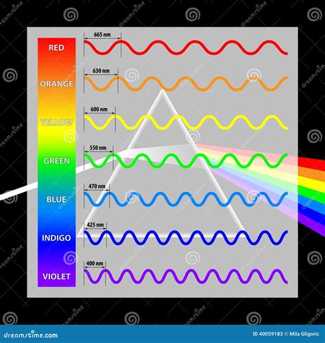 Couleurs De Longueur D Onde Dans Le Spectre Illustration De Vecteur