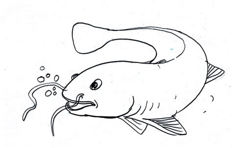 Download 30 Sketsa Gambar Ikan And Cara Membuatnya