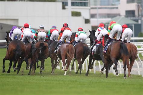 【香港国際競走】地元関係者がレースを予想！果たして日本馬の評価は？ Jra Van World 海外競馬情報サイト