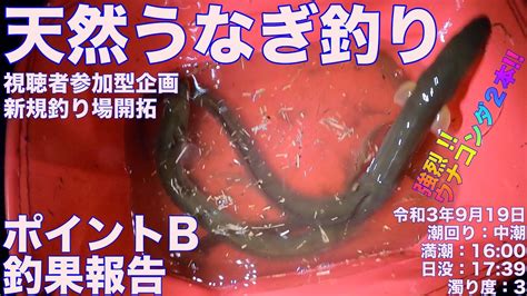 令和3年9月19日 天然うなぎ釣り 視聴者参加型企画 ポイントb釣果報告 ドバミミズ使用 Youtube