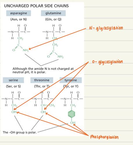 Molecules To Cells Module 1 Cells And Their Components Molecules