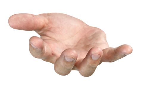 Hold Gestures Gesture Open Hands Hand Png PNGWing